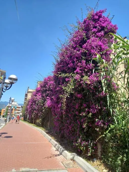 Casa Tra Cielo E Mare Apartment Borghetto Santo Spirito Italy